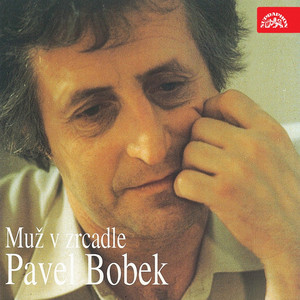 Muž v zrcadle cover