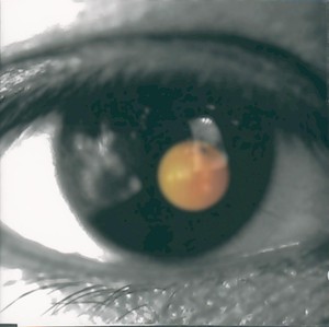 黑色柳丁 Albumcover