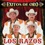 Exitos de Oro cover