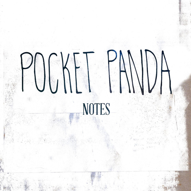 Pocket Panda Photo