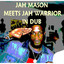 Jah Mason In Dub cover