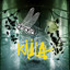 Kiila cover