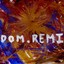 Dom Remi Albumcover