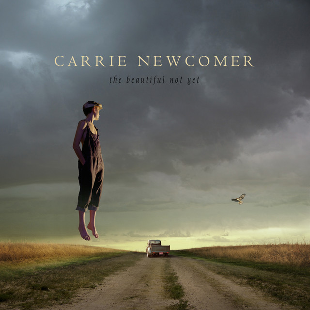 The Beautiful Not Yet cover
