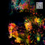 We the Prolific cover