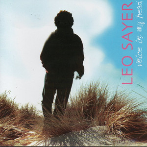 Voice in My Head album