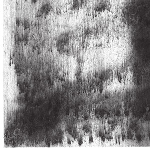 Viento cover