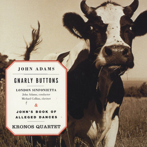Gnarly Buttons / John's Book of Alleged Dances album