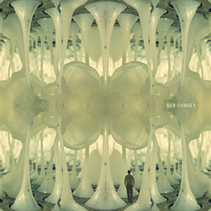 Adenosine cover