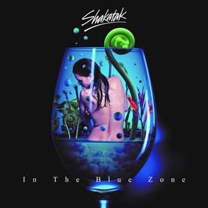 In The Blue Zone cover