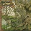 Entropy & The Arcane Willow Albumcover