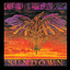 Sundown cover