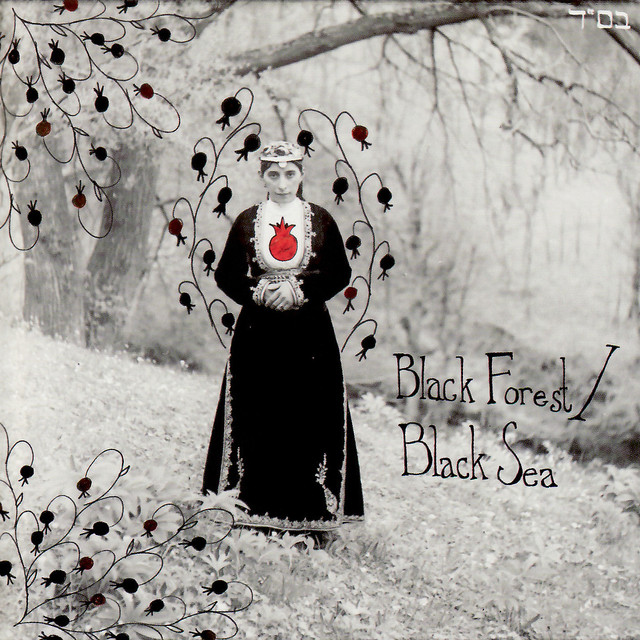 Black Forest / Black Sea Photo
