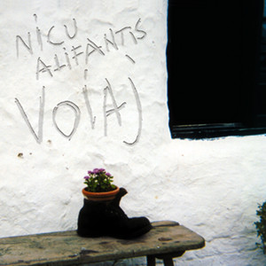 Voiaj cover