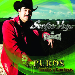 Puros Corridos y Rancheras cover
