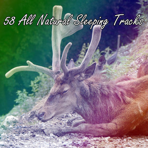 58 All Natural Sleeping Tracks album