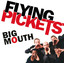 Big Mouth cover