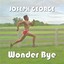 Wonder Bye Albumcover