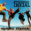 Camino Vertical cover