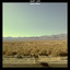 Wild Pack Albumcover