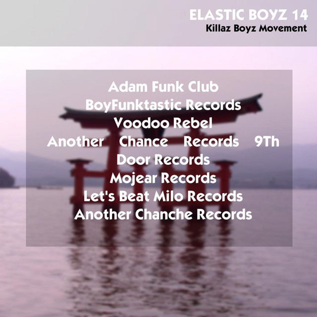 ELASTIC BOYZ 14 Albumcover