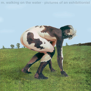 Pictures of an Exhibitionist cover