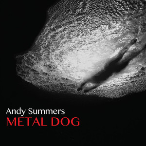 Metal Dog album
