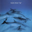 Ray cover