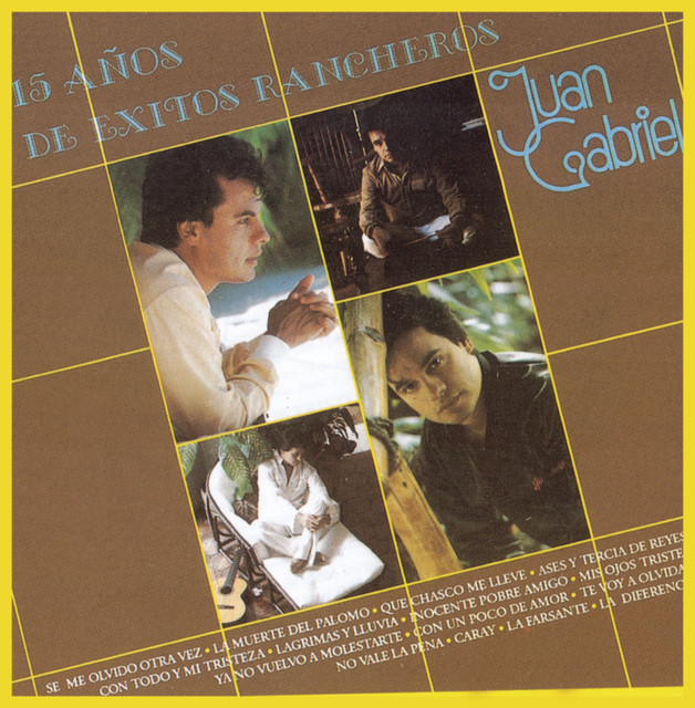 15 Años De Exitos Rancheros cover