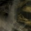 Fungi From Yuggoth