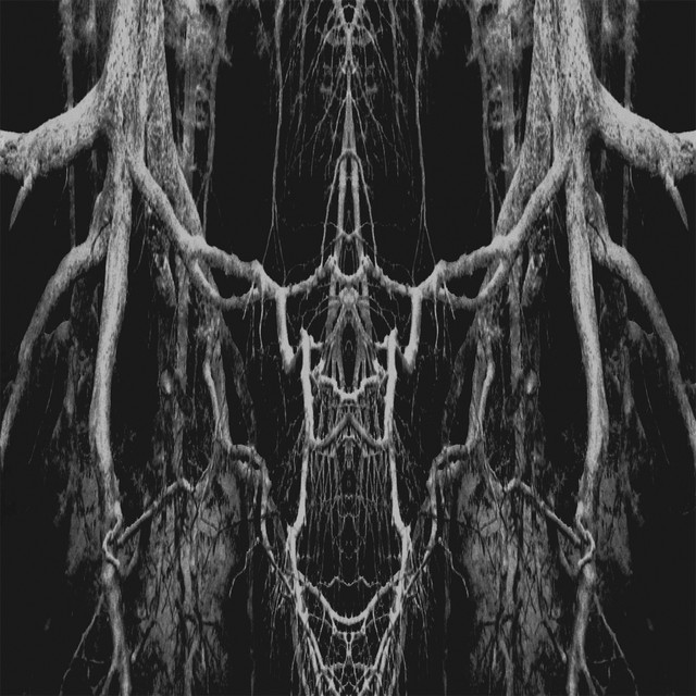 Zatokrev cover