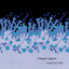 Long Dry Cold cover