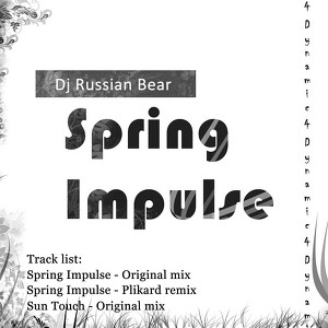 Dj Russian Bear