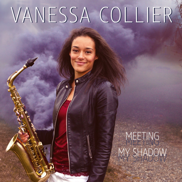 Meeting My Shadow cover