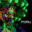 'Change yo diet (ft. Saul Williams)' - Junior Sanchez