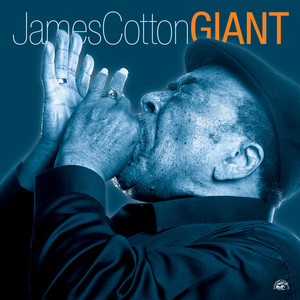 Giant album