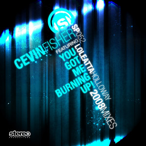 You Got Me Burning Up! 2008 Mixes album