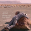 Desert Tunes Albumcover