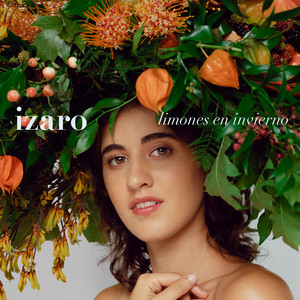 Limones en Invierno cover