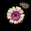 Fortune Teller cover