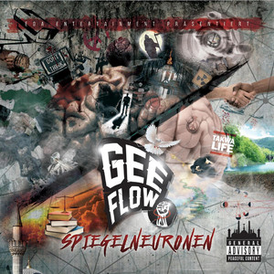 Spiegelneuronen album