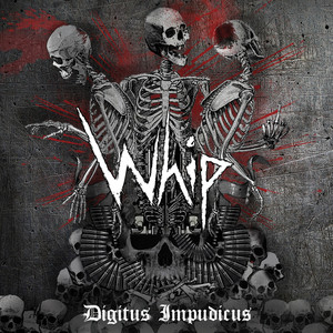 Digitus Impudicus cover