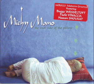 The Cool Side of the Pillow cover