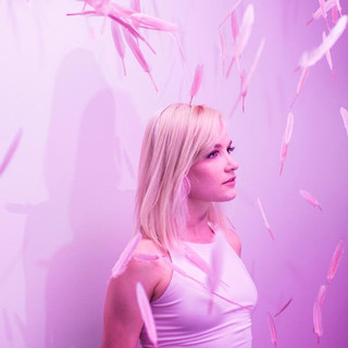 Pink Feathers Photo