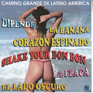 Camino Grande De Latino America