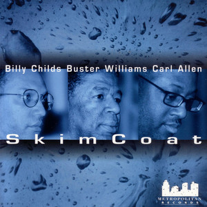 Skim Coat album