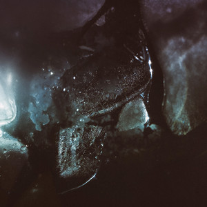 Remnants cover