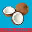 The Noise Albumcover