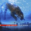 Circus Maximus Albumcover