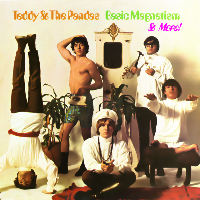 Teddy & the Pandas Photo